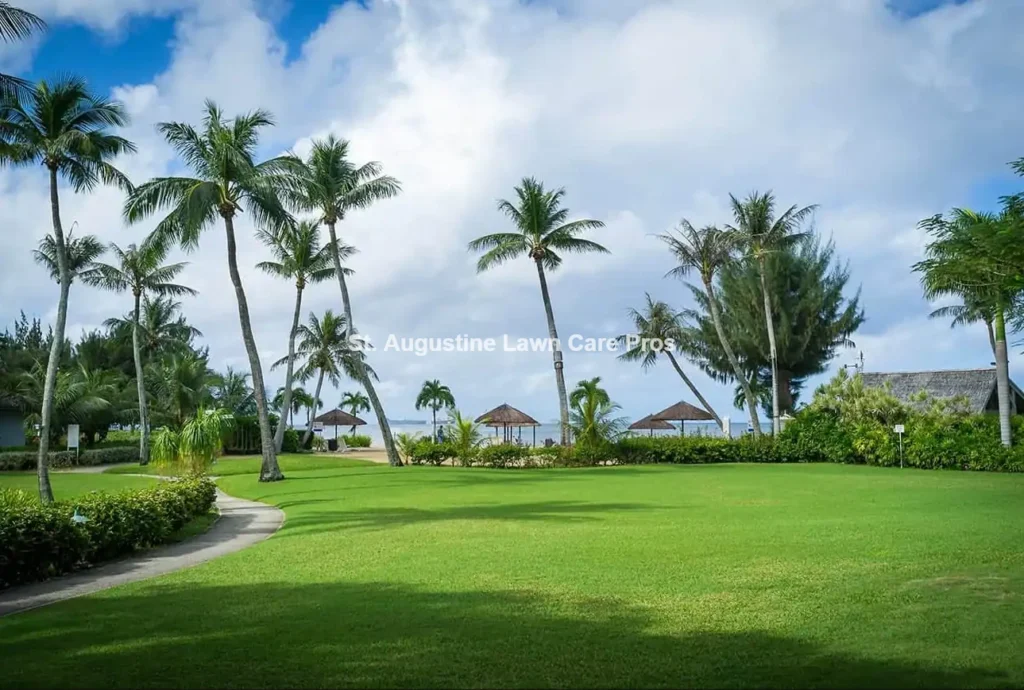 st-augustine-lawn-care-pros-job-10