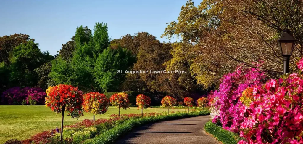st-augustine-lawn-care-pros-job-14