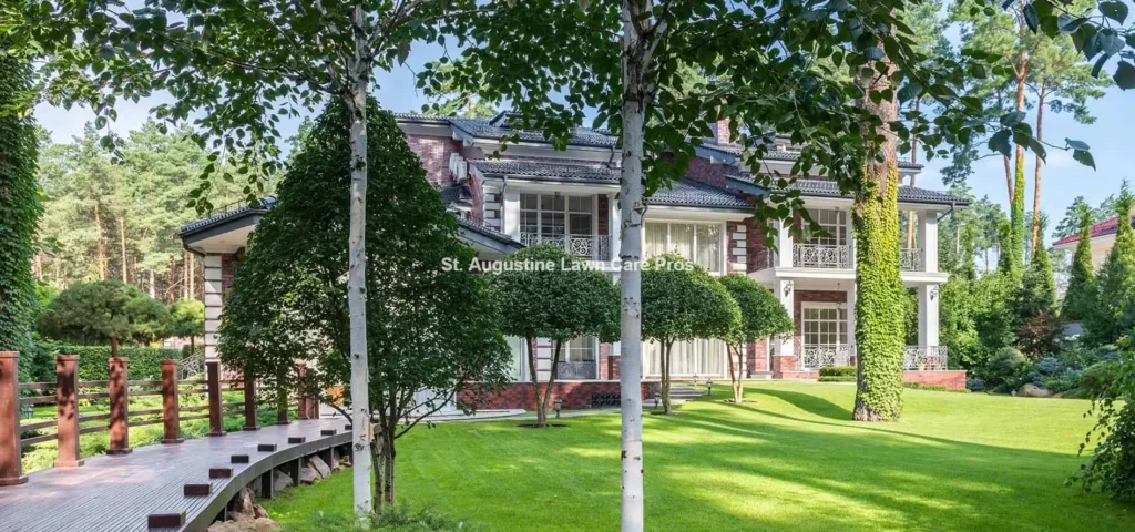 st-augustine-lawn-care-pros-job-15